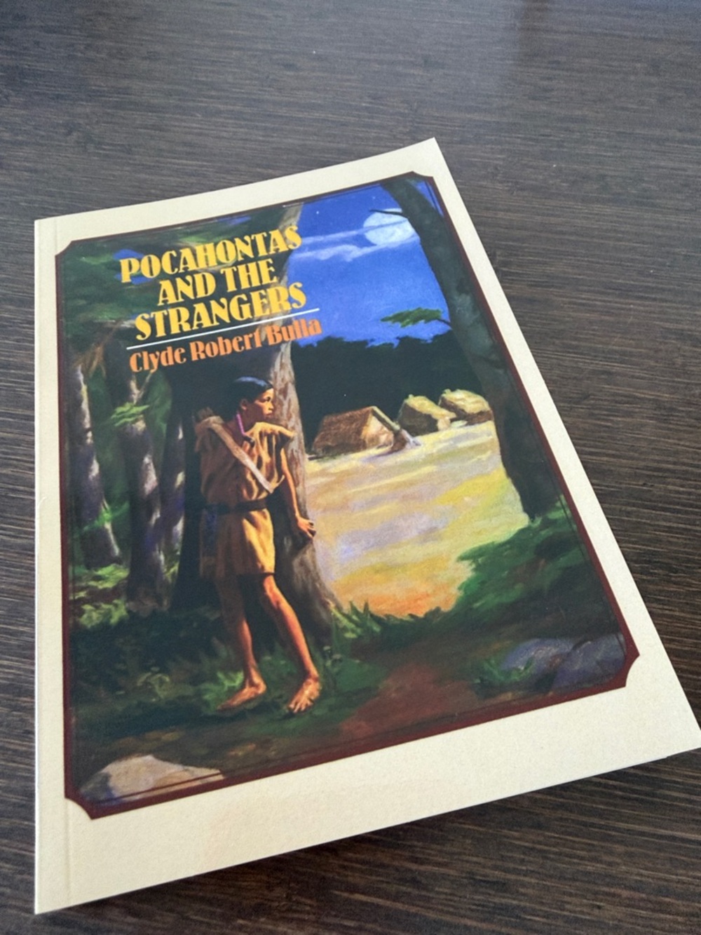 Pocahontas and the Strangers - Paperback
